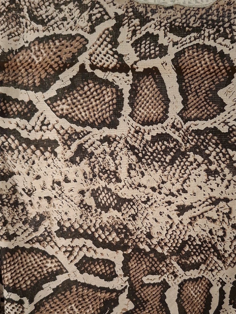 Y2K Brown & Tan Sheer Snakeskin Mockneck Lettuce-hem Crop Top (Size S) - Picture 2 of 6